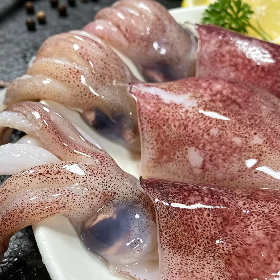 Deep Sea Caught Frozen Squid