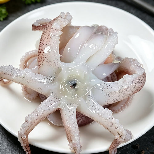 Deep Sea Caught Frozen Squid
